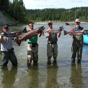 Meet your Posher, Patrick